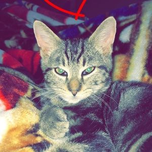 Meet your Posher, Siennah